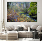 Snow in Fall by Tim Oldford on GIANT ART - multicolor photography; landscapes