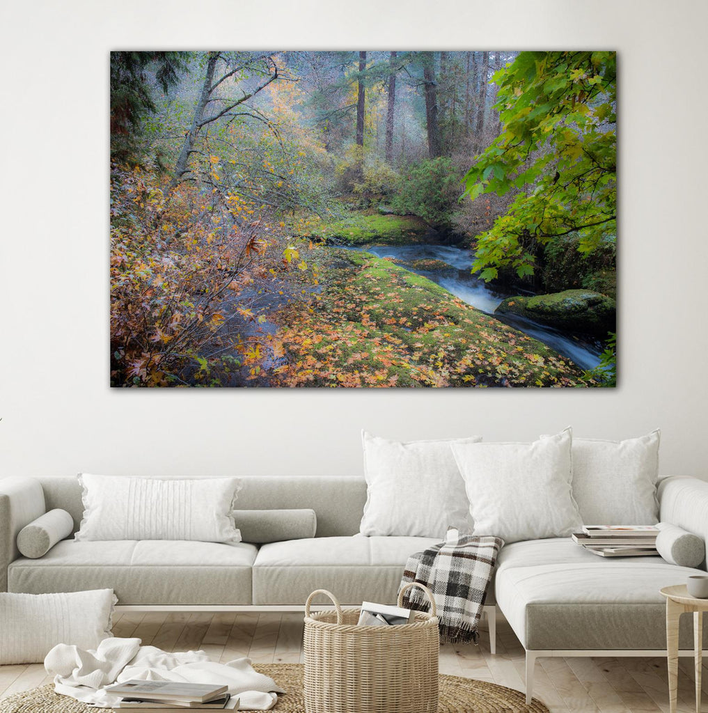 Snow in Fall by Tim Oldford on GIANT ART - multicolor photography; landscapes
