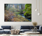 Snow in Fall by Tim Oldford on GIANT ART - multicolor photography; landscapes