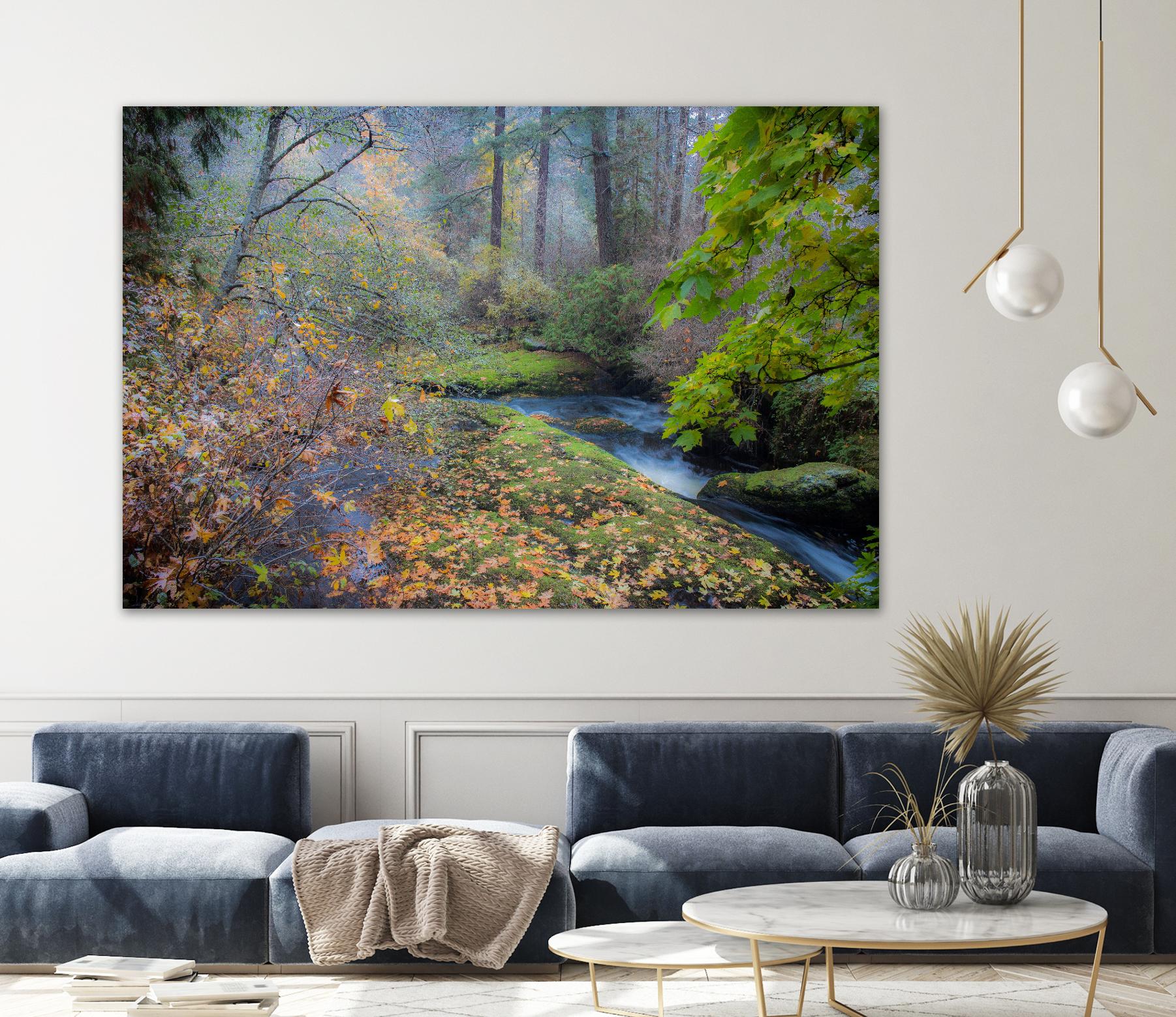 Snow in Fall by Tim Oldford on GIANT ART - multicolor photography; landscapes