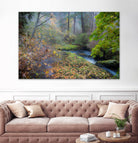 Snow in Fall by Tim Oldford on GIANT ART - multicolor photography; landscapes