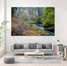 Snow in Fall by Tim Oldford on GIANT ART - multicolor photography; landscapes