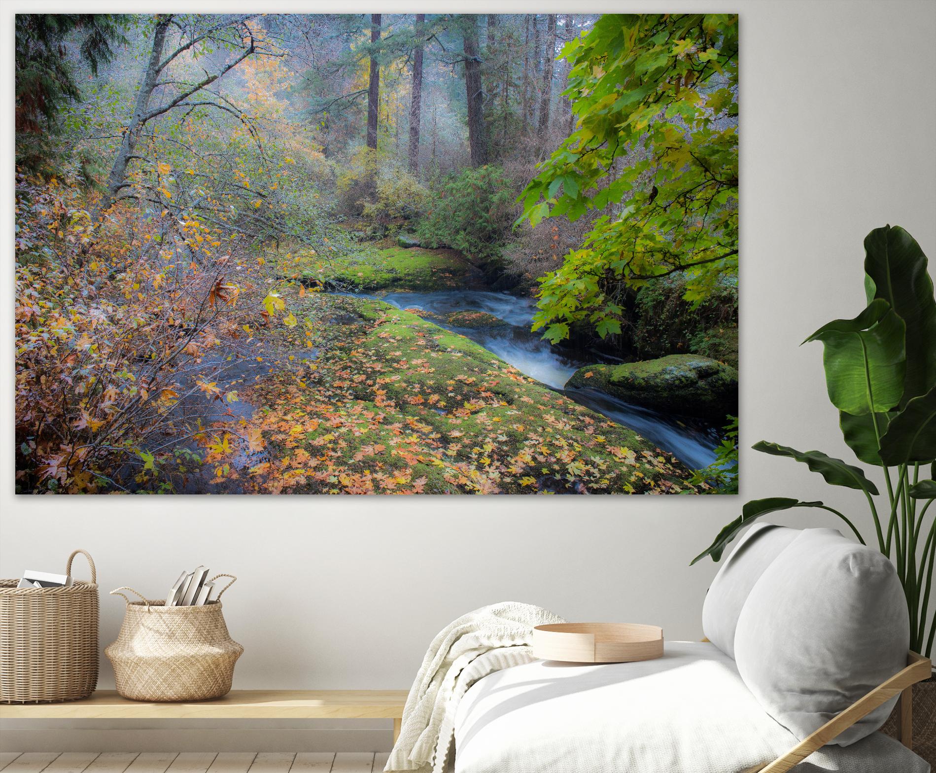 Snow in Fall by Tim Oldford on GIANT ART - multicolor photography; landscapes