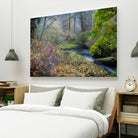 Snow in Fall by Tim Oldford on GIANT ART - multicolor photography; landscapes