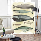 Whales by Pete Oswald on GIANT ART - multicolor animals