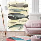 Whales by Pete Oswald on GIANT ART - multicolor animals