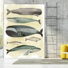 Whales by Pete Oswald on GIANT ART - multicolor animals