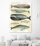 Whales by Pete Oswald on GIANT ART - multicolor animals