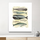 Whales by Pete Oswald on GIANT ART - multicolor animals