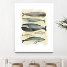 Whales by Pete Oswald on GIANT ART - multicolor animals