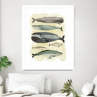 Whales by Pete Oswald on GIANT ART - multicolor animals