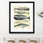 Whales by Pete Oswald on GIANT ART - multicolor animals