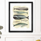 Whales by Pete Oswald on GIANT ART - multicolor animals