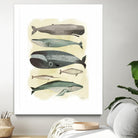 Whales by Pete Oswald on GIANT ART - multicolor animals