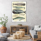 Whales by Pete Oswald on GIANT ART - multicolor animals