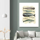 Whales by Pete Oswald on GIANT ART - multicolor animals