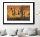 The Other Side by Matthew Platz on GIANT ART - multicolor photography; landscapes