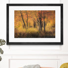 The Other Side by Matthew Platz on GIANT ART - multicolor photography; landscapes