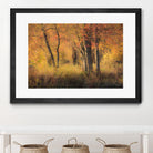 The Other Side by Matthew Platz on GIANT ART - multicolor photography; landscapes