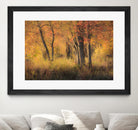 The Other Side by Matthew Platz on GIANT ART - multicolor photography; landscapes