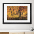 The Other Side by Matthew Platz on GIANT ART - multicolor photography; landscapes