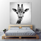 Giraffe by PhotoINC Studio on GIANT ART - white animals