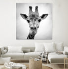 Giraffe by PhotoINC Studio on GIANT ART - white animals