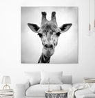 Giraffe by PhotoINC Studio on GIANT ART - white animals