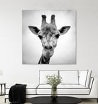 Giraffe by PhotoINC Studio on GIANT ART - white animals