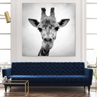 Giraffe by PhotoINC Studio on GIANT ART - white animals