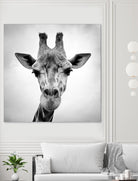Giraffe by PhotoINC Studio on GIANT ART - white animals
