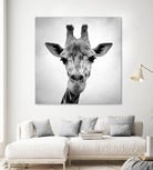 Giraffe by PhotoINC Studio on GIANT ART - white animals