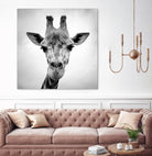 Giraffe by PhotoINC Studio on GIANT ART - white animals