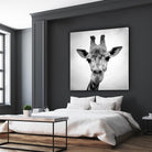 Giraffe by PhotoINC Studio on GIANT ART - white animals
