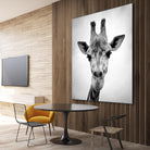 Giraffe by PhotoINC Studio on GIANT ART - white animals