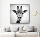 Giraffe by PhotoINC Studio on GIANT ART - white animals