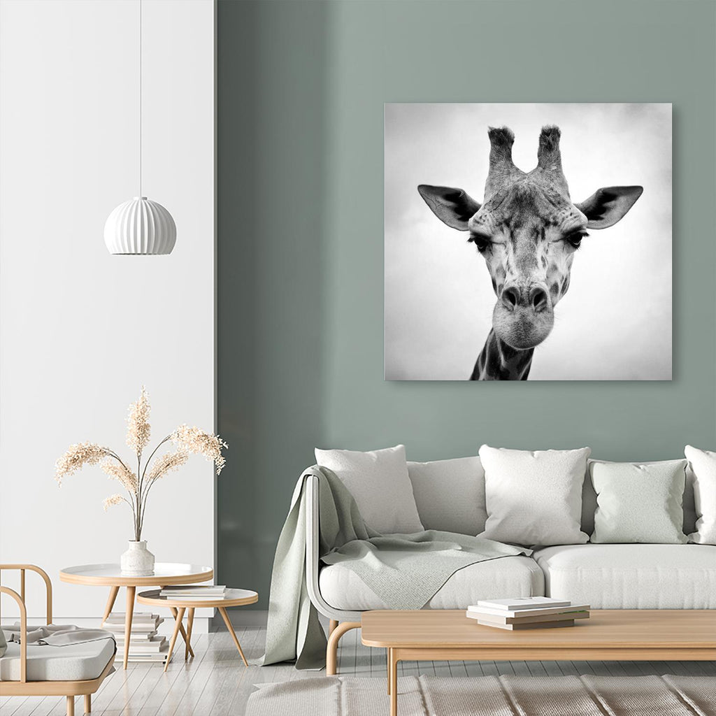 Giraffe by PhotoINC Studio on GIANT ART - white animals