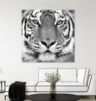 Tiger by PhotoINC Studio on GIANT ART - white animals