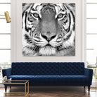 Tiger by PhotoINC Studio on GIANT ART - white animals