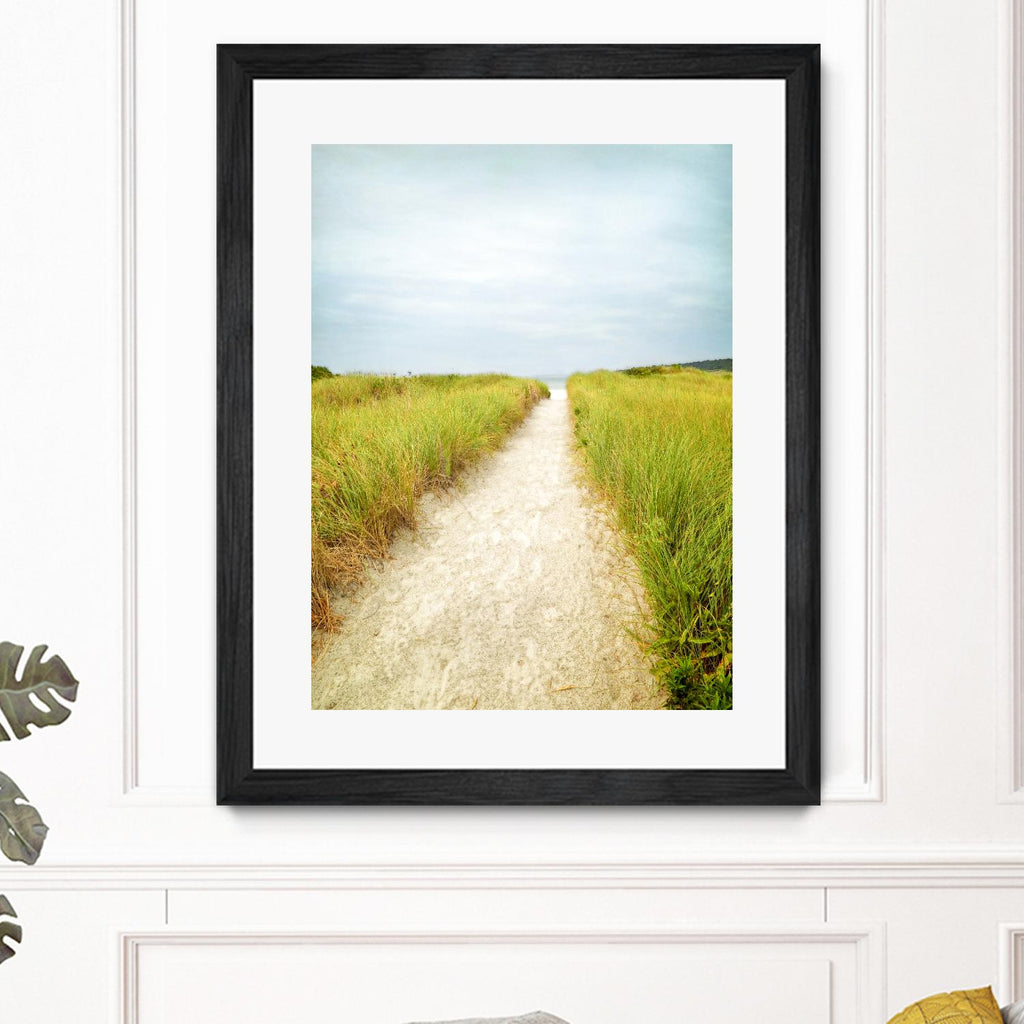 Beach Trail by Brooke T. Ryan on GIANT ART - multi coastal, landscapes, photography, beaches