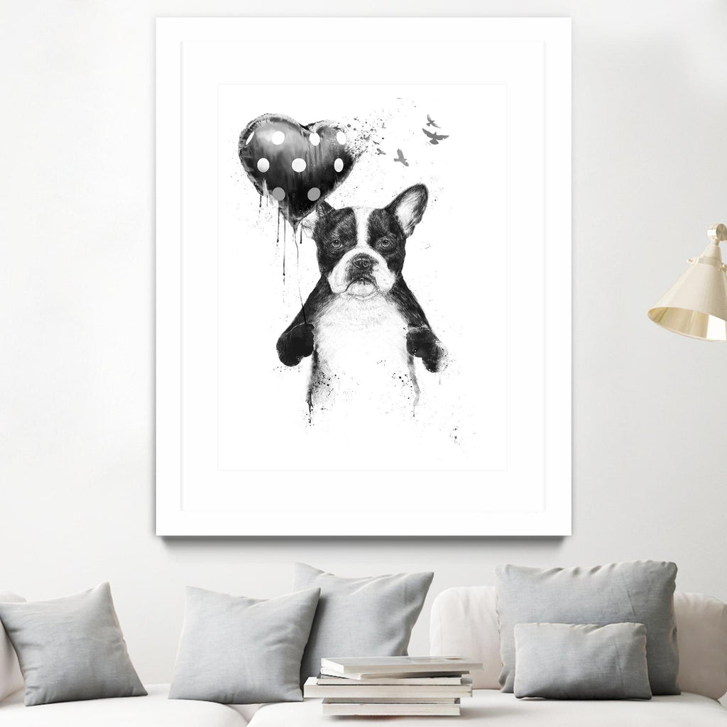 My Heart Goes Boom by Balazs Solti on GIANT ART - white animals