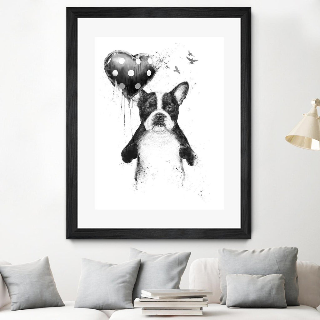 My Heart Goes Boom by Balazs Solti on GIANT ART - white animals