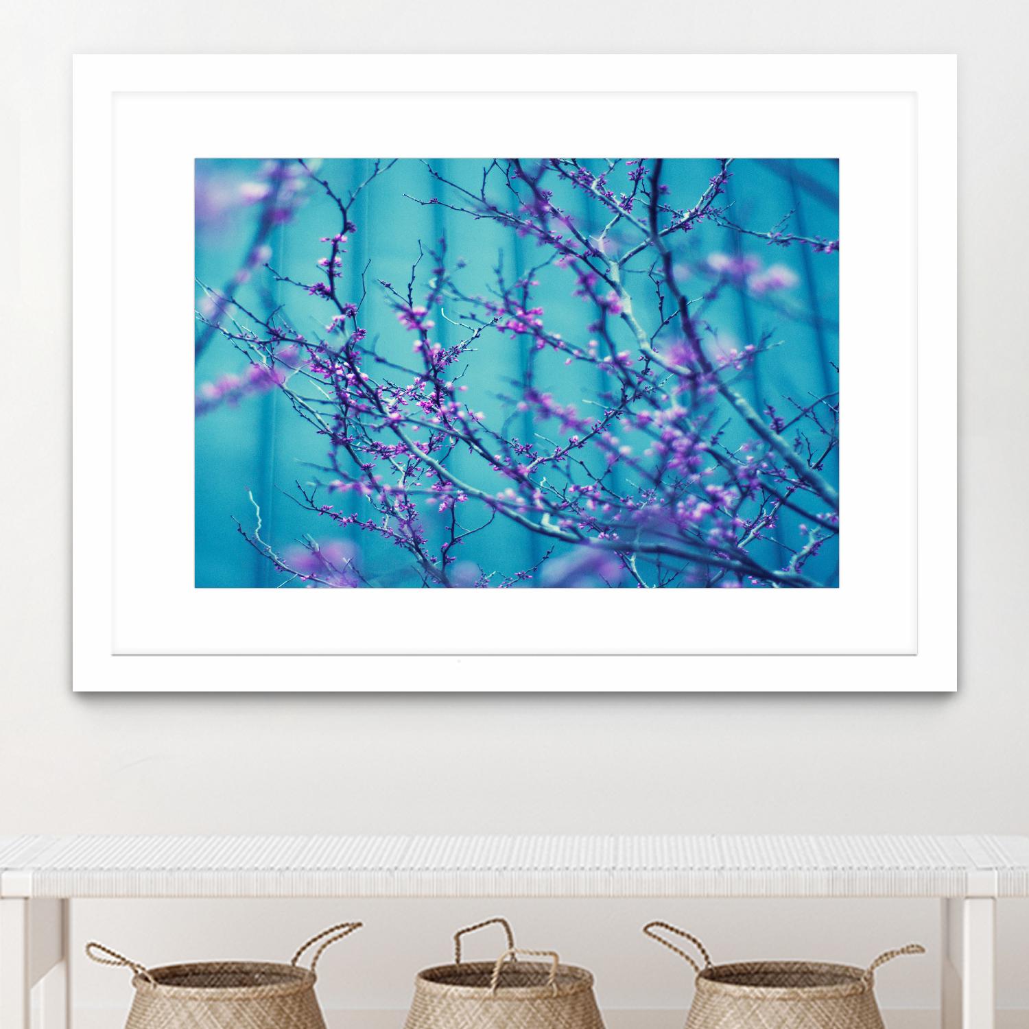 Sacre Bleu by Lee Sie on GIANT ART - multicolor photography; floral/still life