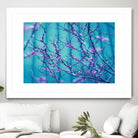 Sacre Bleu by Lee Sie on GIANT ART - multicolor photography; floral/still life