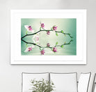 Zen by Lee Sie on GIANT ART - multicolor photography; floral/still life