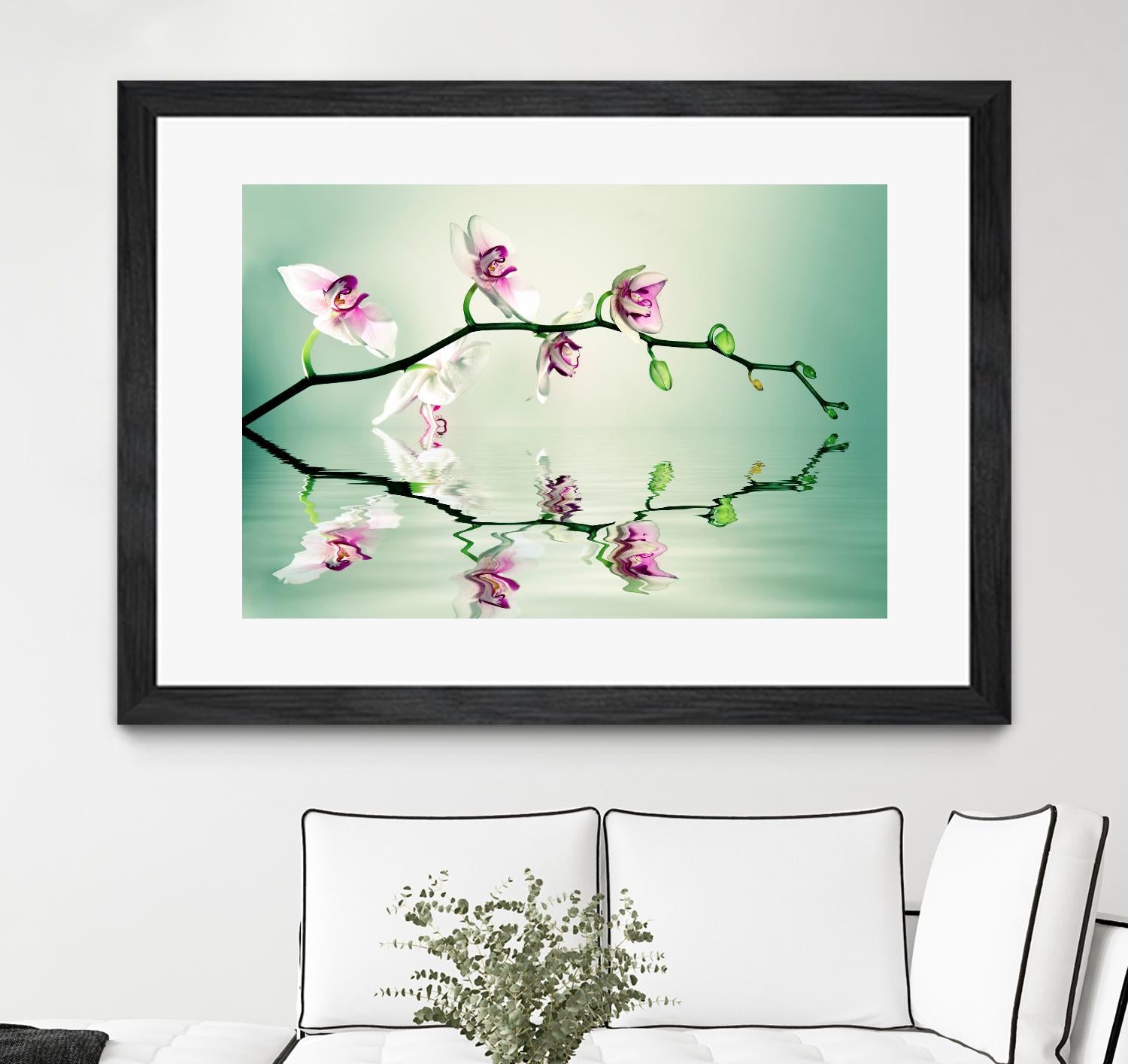 Zen by Lee Sie on GIANT ART - multicolor photography; floral/still life