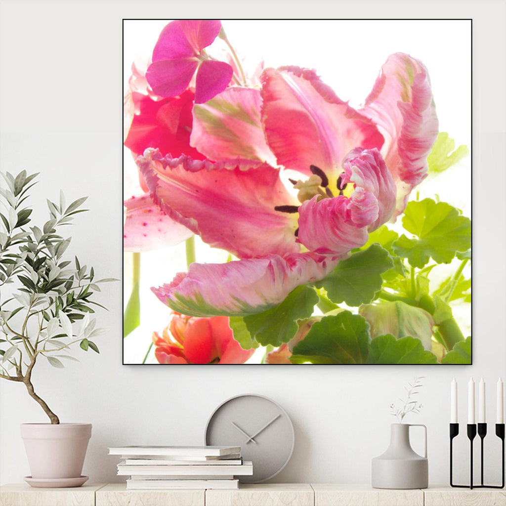 Parrot Tulip One by Judy Stalus on GIANT ART - multicolor photography; floral/still life
