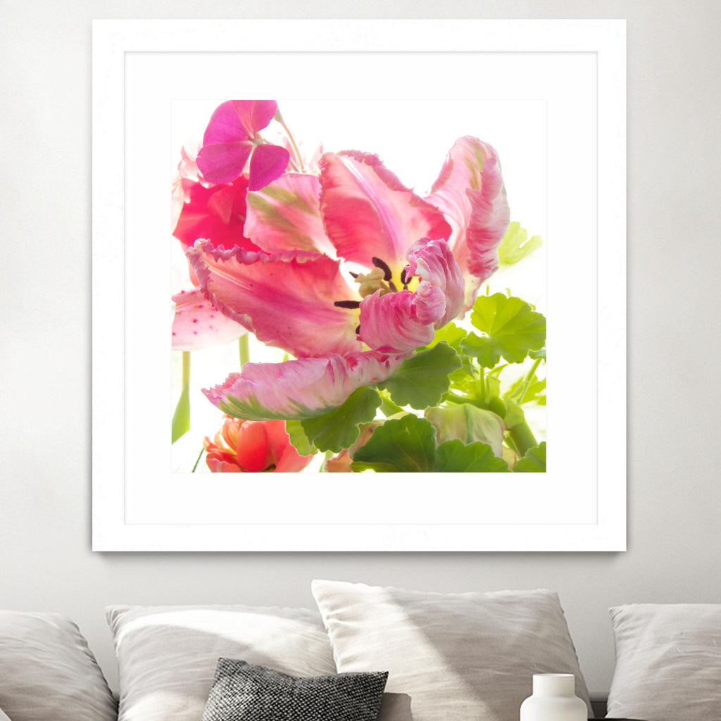 Parrot Tulip One by Judy Stalus on GIANT ART - multicolor photography; floral/still life