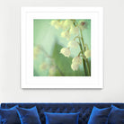 Lily of the Valley by Judy Stalus on GIANT ART - multicolor photography; floral/still life