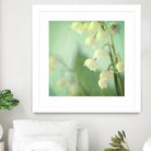 Lily of the Valley by Judy Stalus on GIANT ART - multicolor photography; floral/still life